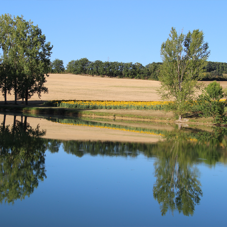 Domaine le castagné _ auch_gers_nature