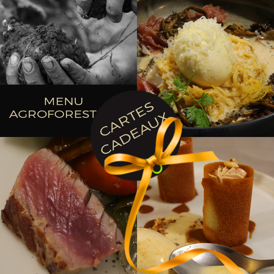 Menu agroforestier